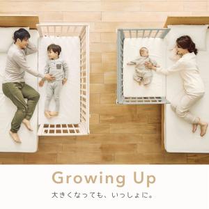 新発売 yamatoya認定店 大和屋 そいね...の詳細画像5
