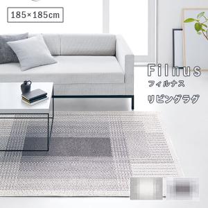 スミノエ 多機能ラグ LUSTRE (リュストル) 140cm×200cm 防ダニ・防音