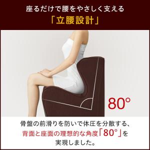 Style Dr.CHAIR Plus スタイ...の詳細画像2