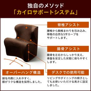Style Dr.CHAIR Plus スタイ...の詳細画像4