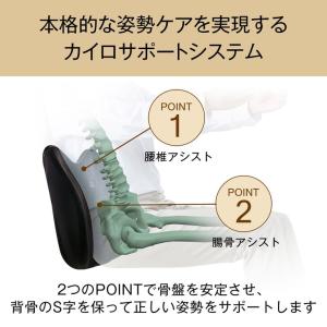 姿勢ケア シート Style Drive S ...の詳細画像2