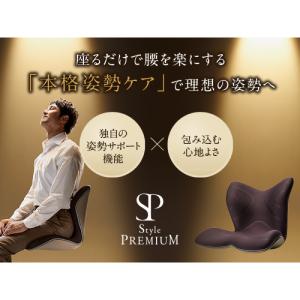 姿勢ケアシート Style PREMIUM ス...の詳細画像1