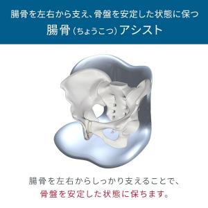 姿勢ケアシート スタイル スマート MTG S...の詳細画像5