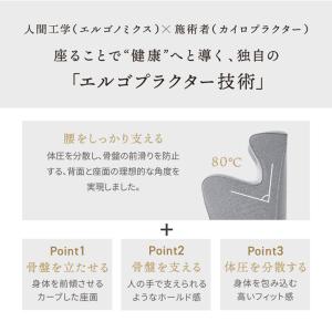 Style Chair DC スタイル 健康チ...の詳細画像1