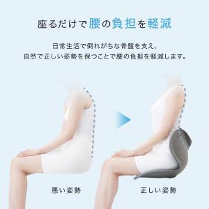 姿勢ケアシート Style Standard ...の詳細画像3