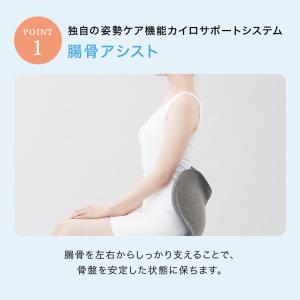 姿勢ケアシート Style Standard ...の詳細画像4