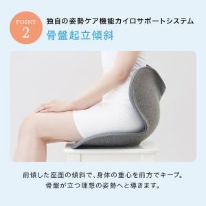 姿勢ケアシート Style Standard ...の詳細画像5