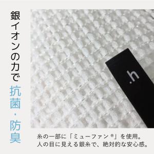 無限に抗菌するスポンジ キッチンアイテム 抗菌...の詳細画像1
