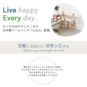 手すり付き玄関用ベンチ Arm Bench -...の詳細画像1