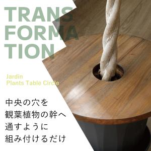 プランツテーブル30 PlantsTableC...の詳細画像1