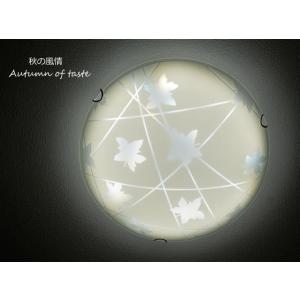 シーリングライト LED 照明 FXKC007 調光調温 リモコン三段調節 (間接照明 ガラス イン...