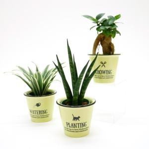 樹里オンラインショップ ジャルダン 鉢の種類から選ぶ Yahoo ショッピング