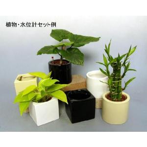 ハイミニフィットの鉢 観葉植物 ハイドロカルチ...の詳細画像1