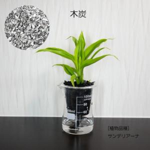 ウォータリウム ビーカーS100ml 炭植え ...の詳細画像1