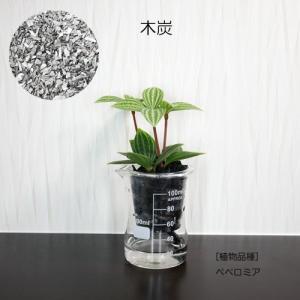 ウォータリウム ビーカーS100ml 炭植え ...の詳細画像2