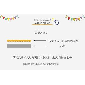 ダイニングセット 5点セット ダイニングテーブ...の詳細画像3
