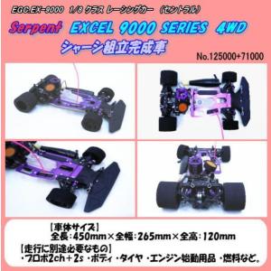 RCB-EX9000 大特価 1/8カー エク...の詳細画像1