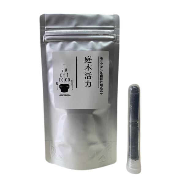 モリブデン ミネラル 成分 を 樹幹 埋設 。家庭でできる 酸性雨 対策 の一方策 木 に ミネラル...