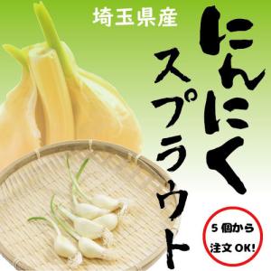 スプラウトにんにくの商品一覧 通販 Yahoo ショッピング