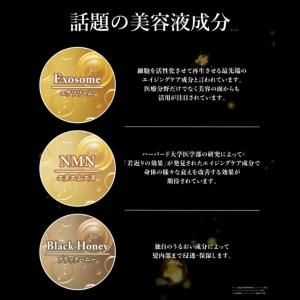 DRハニー ブラックビー モイスト リペア シ...の詳細画像3