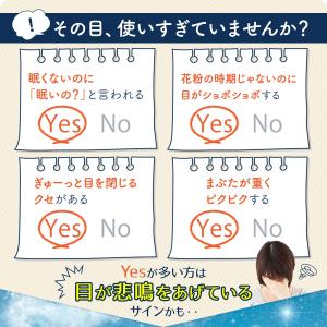 あんもち温休 まなこ ホットアイマスク レンジ...の詳細画像2