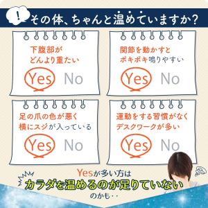 あんもち温休 また おまたカイロ レンジ 10...の詳細画像2