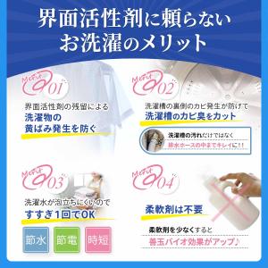 善玉バイオ浄 JOE抗菌プラス エコプラッツ ...の詳細画像5