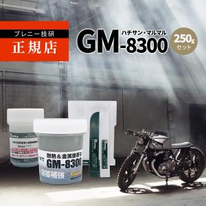 GM8300 次世代型エポキシ 補修パテ ジーナス ブレニー技研 250gセット