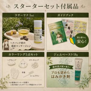 IPM ヘナ スターター4点セット 各100g...の詳細画像1