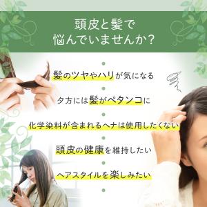 IPM ヘナ インディゴ 100g【エコ洗剤2...の詳細画像2