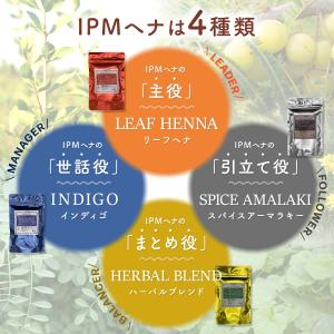 IPM ヘナ インディゴ 100g【エコ洗剤2...の詳細画像4