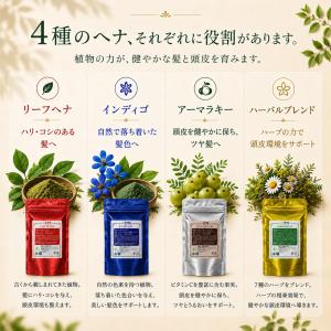 IPM ヘナ インディゴ 100g【エコ洗剤1...の詳細画像4