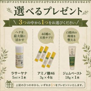 IPM ヘナ リピーター2点セットリーフヘナ+...の詳細画像1