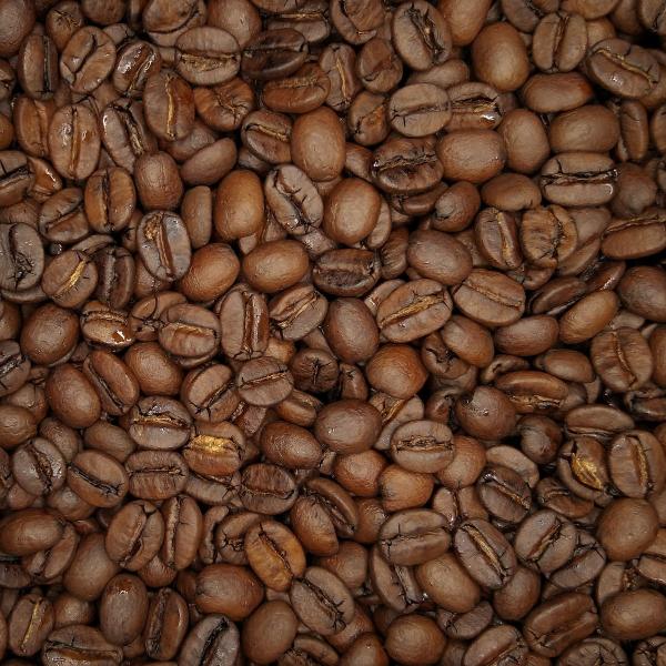 ブラジル／セラード樹上完熟〜晩秋摘み〜［シティ］(200g)