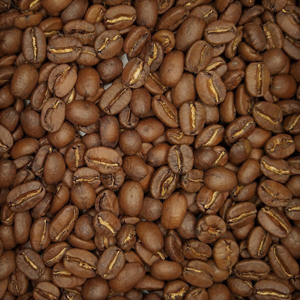 メキシコ／シエラ・マードレ［ハイ］(200g)