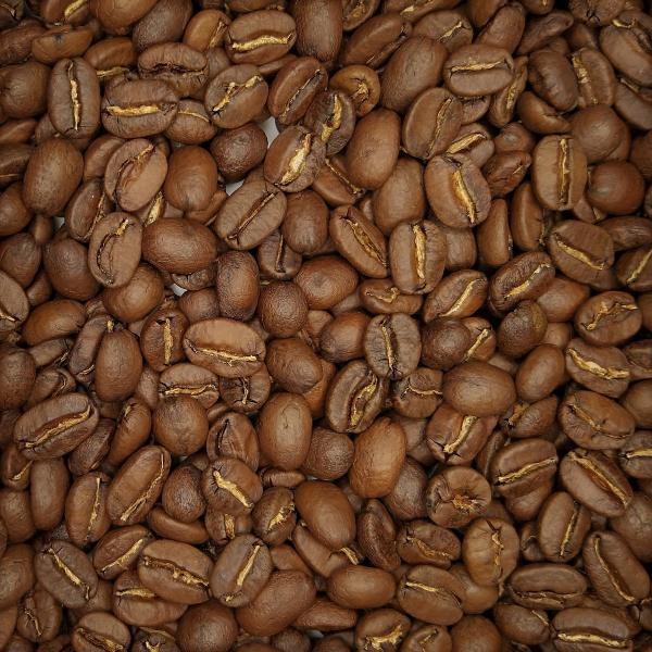 メキシコ／シエラ・マードレ［ハイ］(100g)