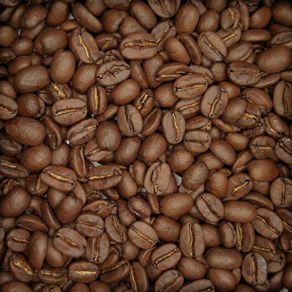 メキシコ／シエラ・マードレ［フルシティ］(100g)