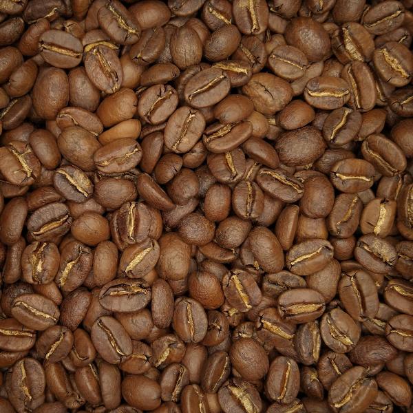 ペルー／モンターニャ・ベロニカ［ハイ］(200g)