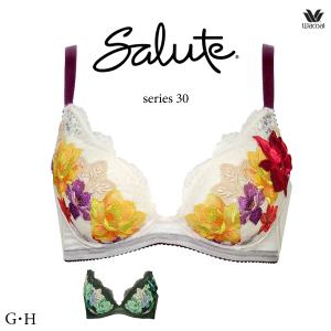 サルート30G 3点セット サルート（SALUTE） ワコール 30G セットアップランジェリー
