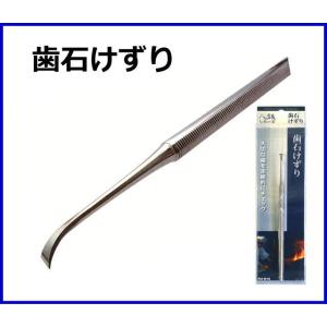 八鉄シリーズ 歯石けずり /ピーティー＆サヒインターナショナル　88009　デンタルケア　歯垢　歯の...