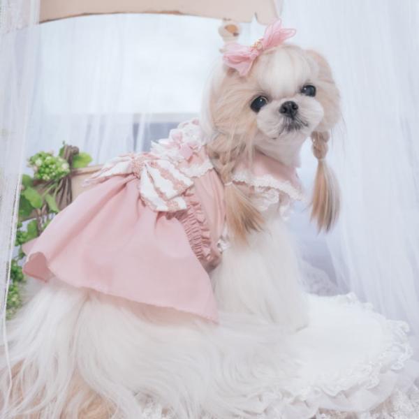 春夏【きゃんナナ】ウエストシャーリングワンピース　SS-Lサイズ 小型犬　犬服