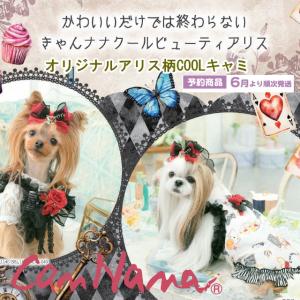 犬服ハンドメイド　七七様オーダー品 セレブなオーダーメイド犬服ミントブルードレス : オーダーメイド
