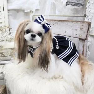 セレブなオーダーメイド犬服ミントブルードレス : オーダーメイド