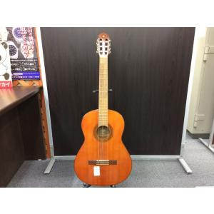 YAMAHA ヤマハ クラシックギター G-80A[iw][GJ]｜junglejungle