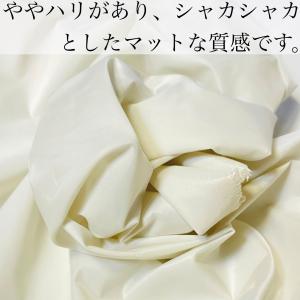 無地 ナイロン生地 布 タフタ 生地 撥水加工...の詳細画像3