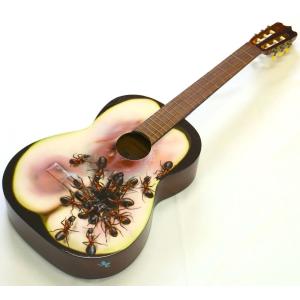 Epiphone（エピフォン） 中古 フルアコ Epiphone Zephyer Regent 専用