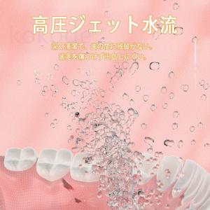 口腔洗浄器 USB充電式 歯磨き 口臭防止 高...の詳細画像2