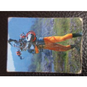 昭和レトロ 超レア物 丸勝 駄菓子屋 引き物仮面ライダーカード 仮面