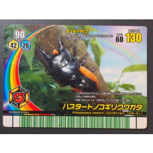 甲虫王者ムシキング 5周年コレクションカード 第1弾 甲虫王者ムシキング 5周年コレクションカード 第1弾