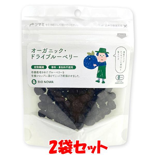 オーガニック・ドライブルーベリー ドライフルーツ ブルーベリー 50g×2袋セット ゆうパケット送料...